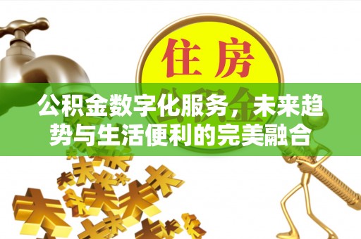 兰坪公积金数字化服务，未来趋势与生活便利的完美融合