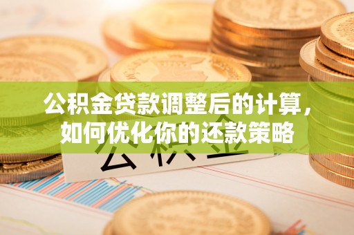 兰坪公积金贷款调整后的计算，如何优化你的还款策略