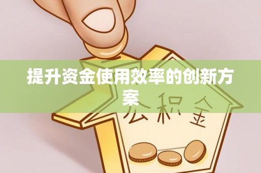 兰坪提升资金使用效率的创新方案