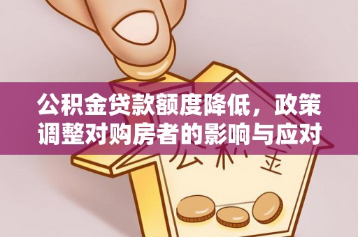 兰坪公积金贷款额度降低，政策调整对购房者的影响与应对策略