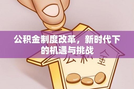 兰坪公积金制度改革，新时代下的机遇与挑战