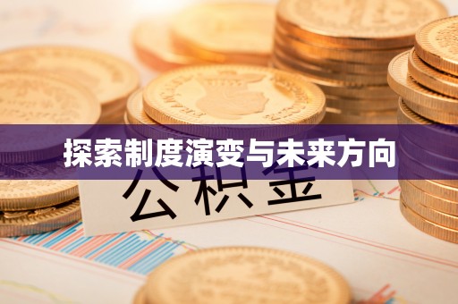 兰坪探索制度演变与未来方向
