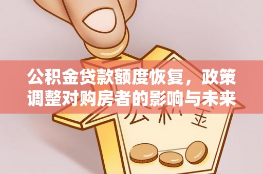 兰坪公积金贷款额度恢复，政策调整对购房者的影响与未来展望