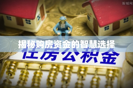 兰坪揭秘购房资金的智慧选择