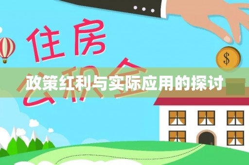 兰坪政策红利与实际应用的探讨