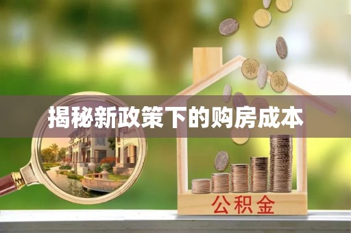 兰坪揭秘新政策下的购房成本