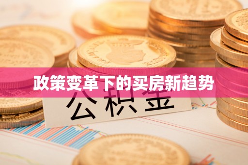兰坪政策变革下的买房新趋势