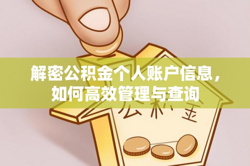 兰坪解密公积金个人账户信息，如何高效管理与查询