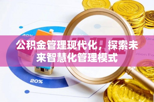 兰坪公积金管理现代化，探索未来智慧化管理模式