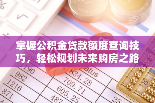 兰坪掌握公积金贷款额度查询技巧，轻松规划未来购房之路