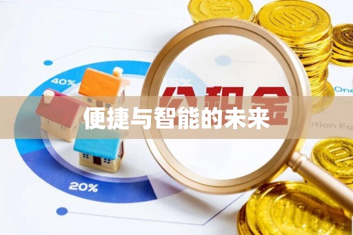 兰坪便捷与智能的未来