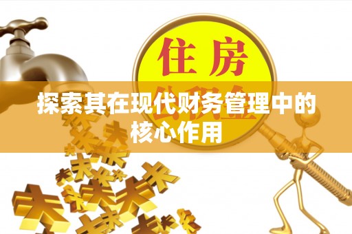 兰坪探索其在现代财务管理中的核心作用