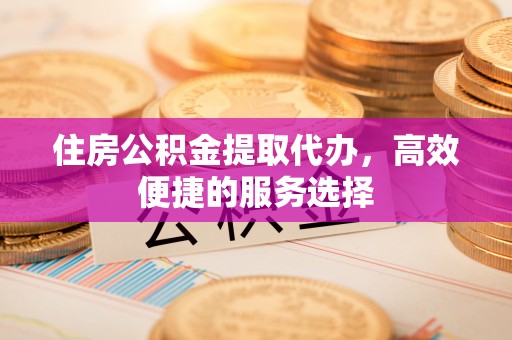 兰坪住房公积金提取代办，高效便捷的服务选择