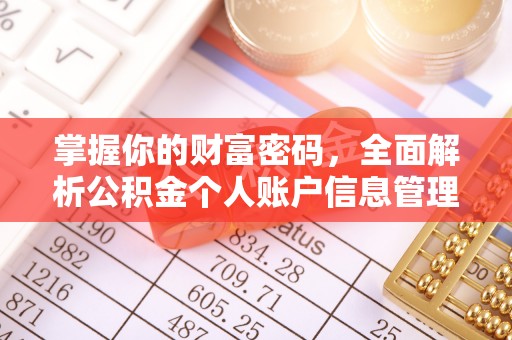 兰坪掌握你的财富密码，全面解析公积金个人账户信息管理