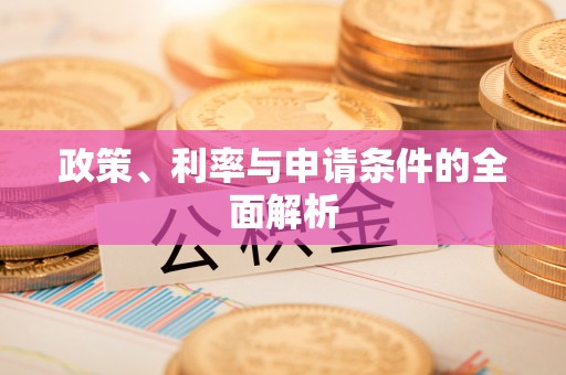 兰坪政策、利率与申请条件的全面解析