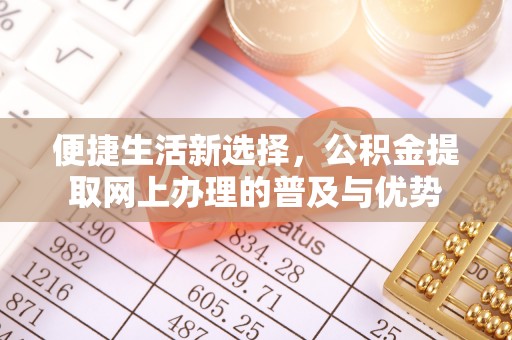 兰坪便捷生活新选择，公积金提取网上办理的普及与优势
