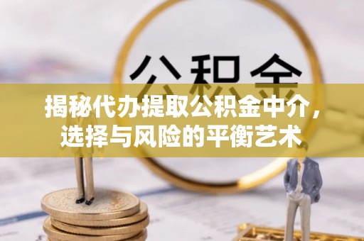 兰坪揭秘代办提取公积金中介，选择与风险的平衡艺术