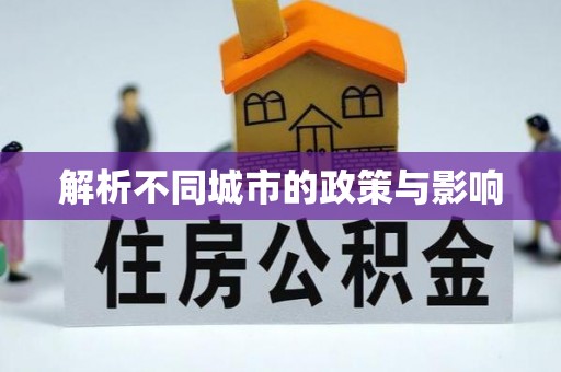 兰坪解析不同城市的政策与影响