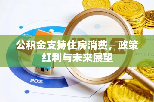 兰坪公积金支持住房消费，政策红利与未来展望