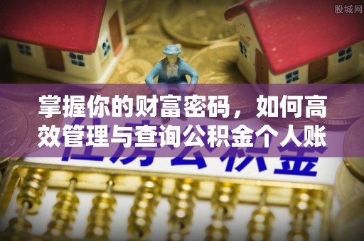 兰坪掌握你的财富密码，如何高效管理与查询公积金个人账户信息
