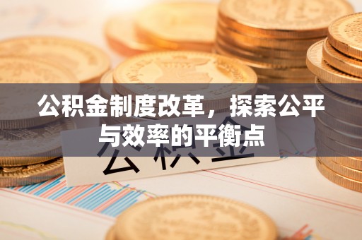 兰坪公积金制度改革，探索公平与效率的平衡点