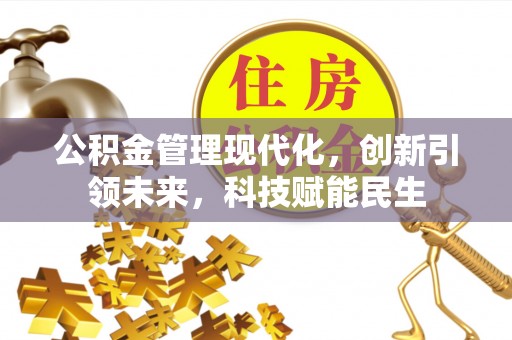 兰坪公积金管理现代化，创新引领未来，科技赋能民生