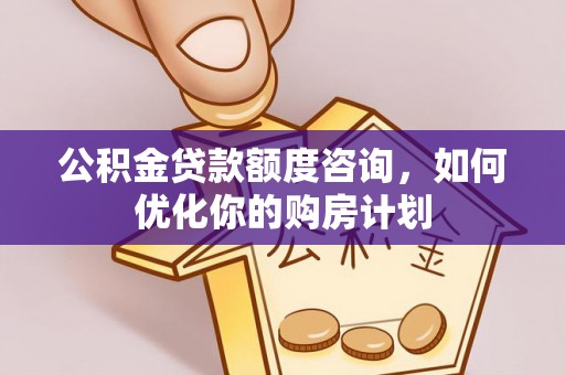 兰坪公积金贷款额度咨询，如何优化你的购房计划