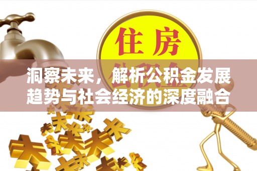 兰坪洞察未来，解析公积金发展趋势与社会经济的深度融合