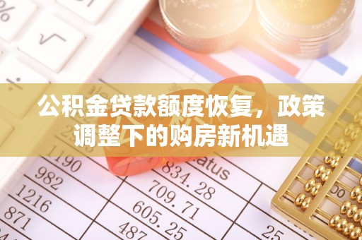 兰坪公积金贷款额度恢复，政策调整下的购房新机遇