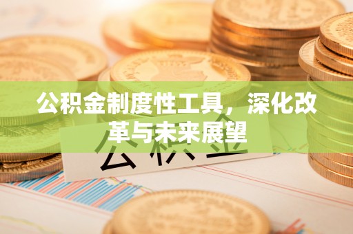 兰坪公积金制度性工具，深化改革与未来展望
