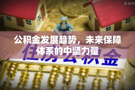 兰坪公积金发展趋势，未来保障体系的中坚力量