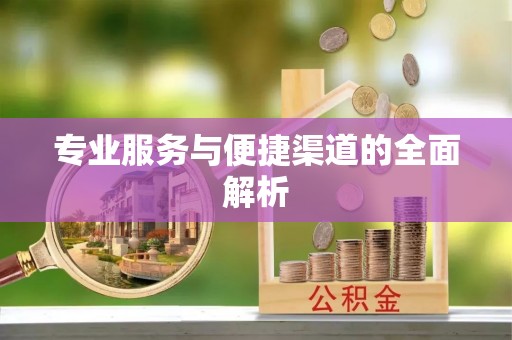 兰坪专业服务与便捷渠道的全面解析