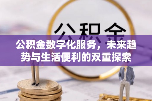 兰坪公积金数字化服务，未来趋势与生活便利的双重探索