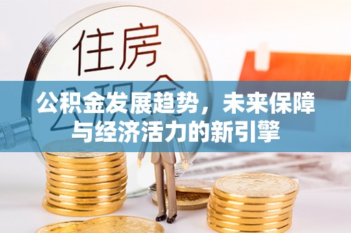 兰坪公积金发展趋势，未来保障与经济活力的新引擎