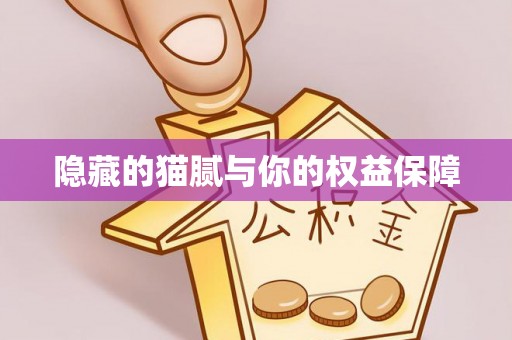 兰坪隐藏的猫腻与你的权益保障