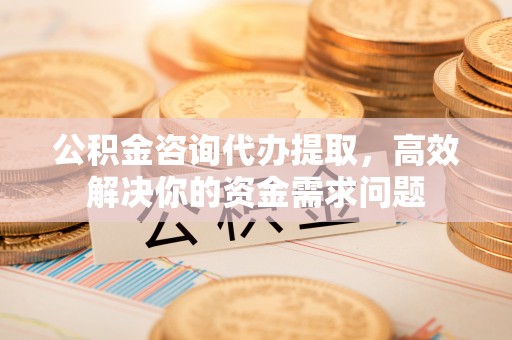 兰坪公积金咨询代办提取，高效解决你的资金需求问题