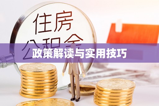 兰坪政策解读与实用技巧