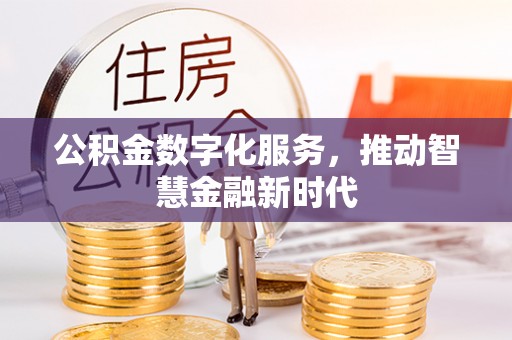 兰坪公积金数字化服务，推动智慧金融新时代