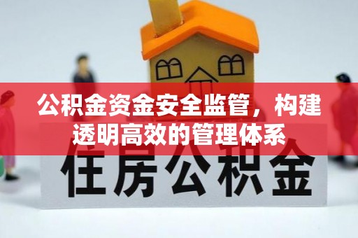兰坪公积金资金安全监管，构建透明高效的管理体系