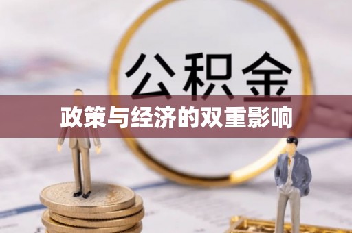 兰坪政策与经济的双重影响