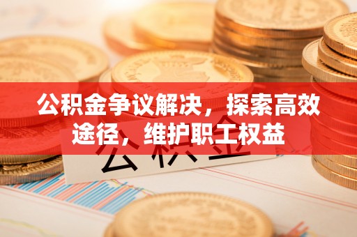 兰坪公积金争议解决，探索高效途径，维护职工权益