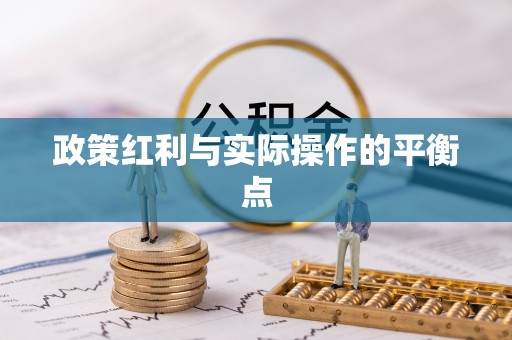 兰坪政策红利与实际操作的平衡点