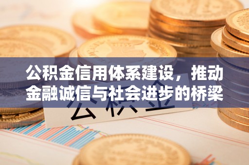 兰坪公积金信用体系建设，推动金融诚信与社会进步的桥梁