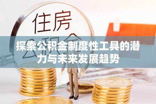 兰坪探索公积金制度性工具的潜力与未来发展趋势
