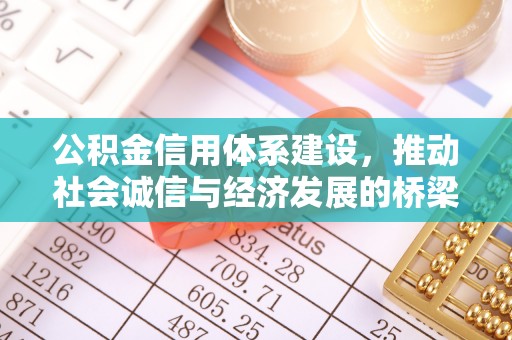 兰坪公积金信用体系建设，推动社会诚信与经济发展的桥梁