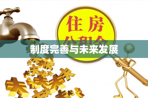 兰坪制度完善与未来发展