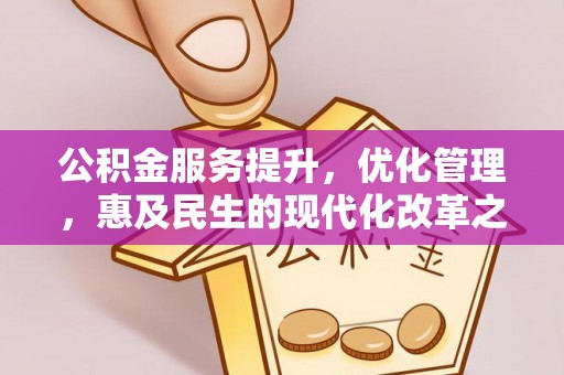 兰坪公积金服务提升，优化管理，惠及民生的现代化改革之路