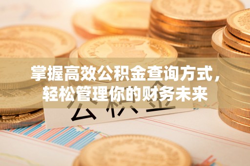 兰坪掌握高效公积金查询方式，轻松管理你的财务未来