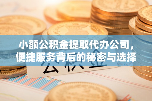 兰坪小额公积金提取代办公司，便捷服务背后的秘密与选择指南