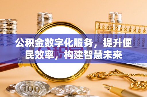 兰坪公积金数字化服务，提升便民效率，构建智慧未来